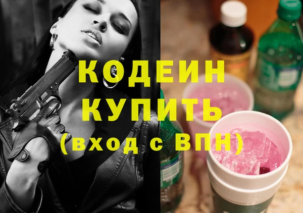 ешки Бородино