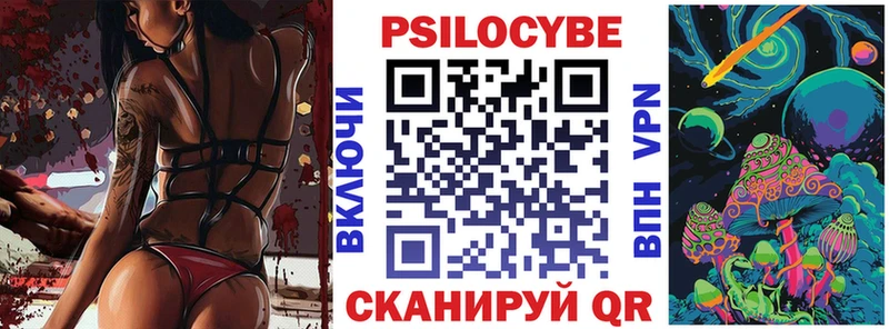 Псилоцибиновые грибы Psilocybine cubensis  Торопец 